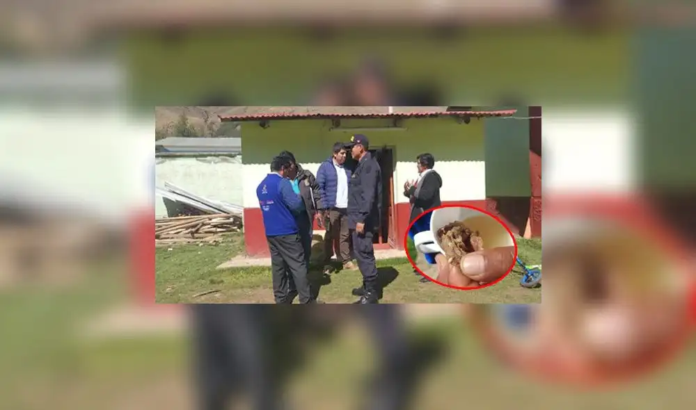 Cusco. Parásitos encontrados en la chalona de cordero propició una serie de medidas. Cusco. Parásitos encontrados en la chalona de cordero propició una serie de medidas.