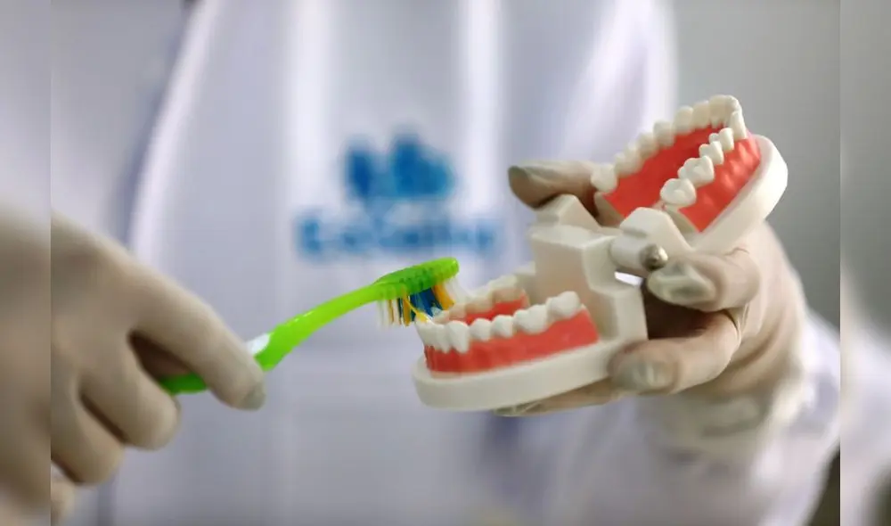 El cepillado dental es la mejor herramienta para combatir las enfermedades bucales. Foto: Andina El cepillado dental es la mejor herramienta para combatir las enfermedades bucales. Foto: Andina