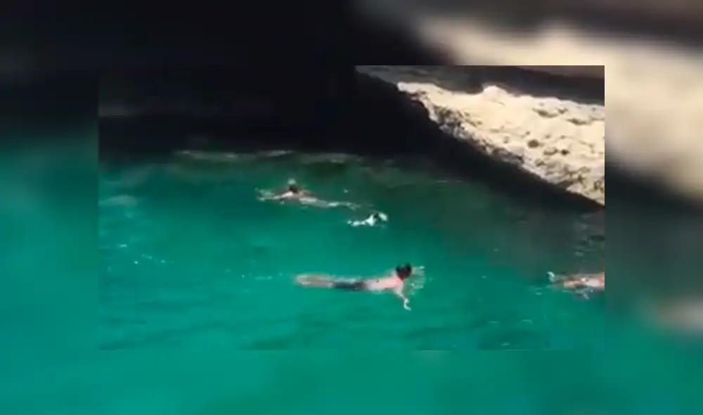 Facebook viral: Perro ve a su amo lanzarse a lago y realiza valiente sacrificio para salvarlo [VIDEO] 