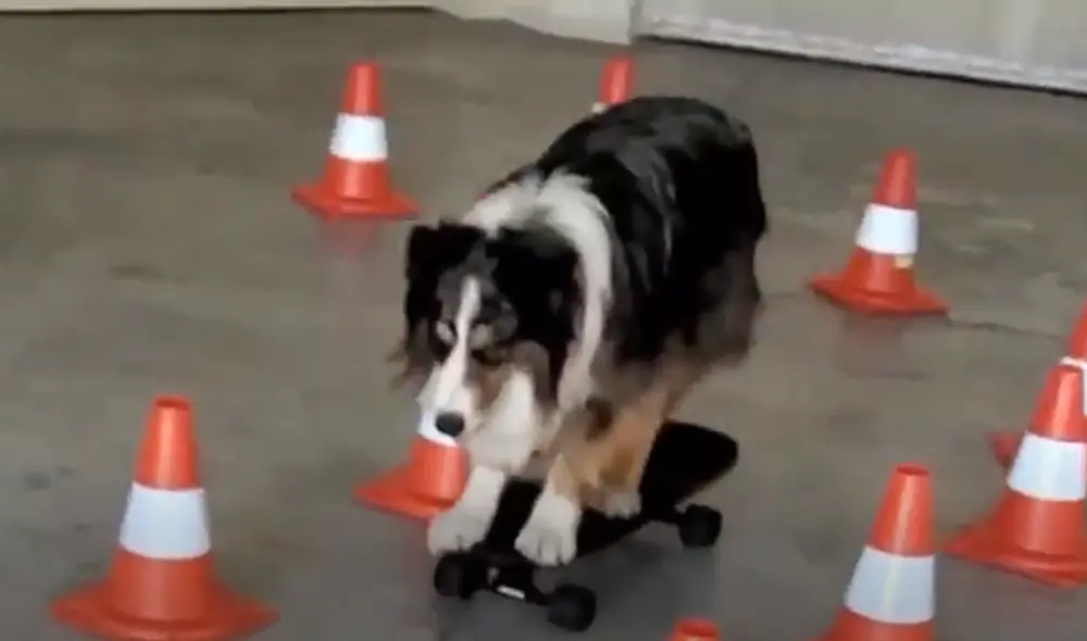 Desliza hacia la izquierda para ver las imágenes del video viral. Foto: Captura de YouTube.