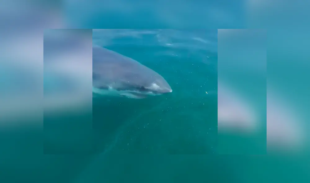 Si quieres ver lo que ocurrió en el video viral de Facebook, desliza cada imagen hacia la izquierda. Si quieres ver lo que ocurrió en el video viral de Facebook, desliza cada imagen hacia la izquierda.