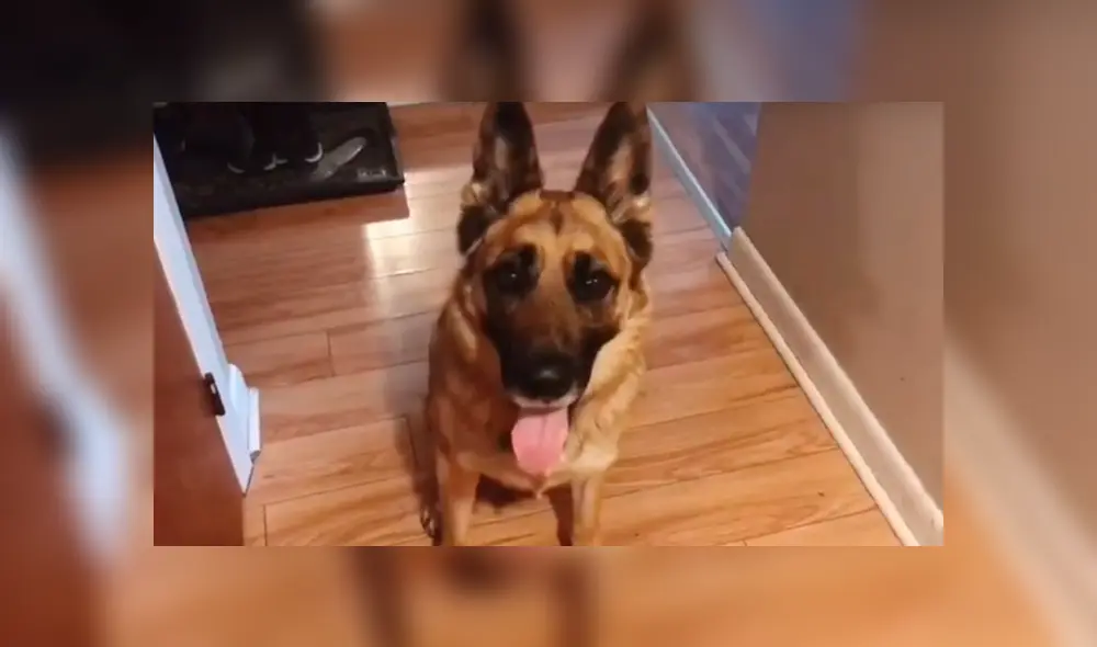 Desliza para ver los momentos más divertidos del momento viral de YouTube.