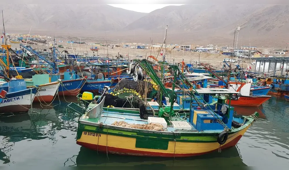 Pescadores de Tacna deberán pedir bolsas para desechar su basura.