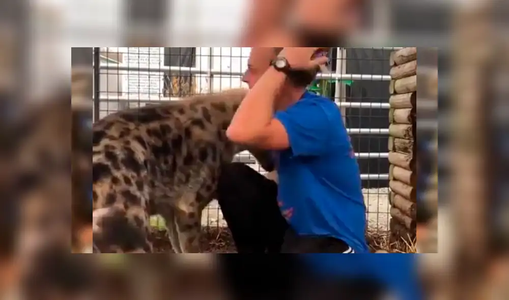 Facebook viral: joven tiene conmovedor reencuentro con feroz hiena que cuidó cuando era un bebé [VIDEO]