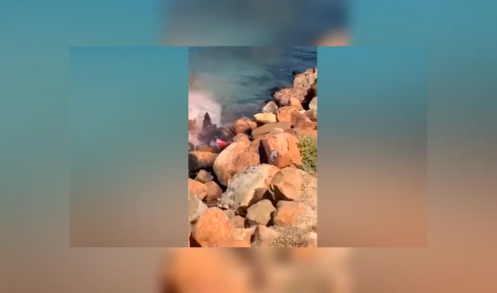 Desliza hacia la izquierda para ver la brutal pelea de los animales marinos. Imágenes virales de Facebook. Desliza hacia la izquierda para ver la brutal pelea de los animales marinos. Imágenes virales de Facebook.