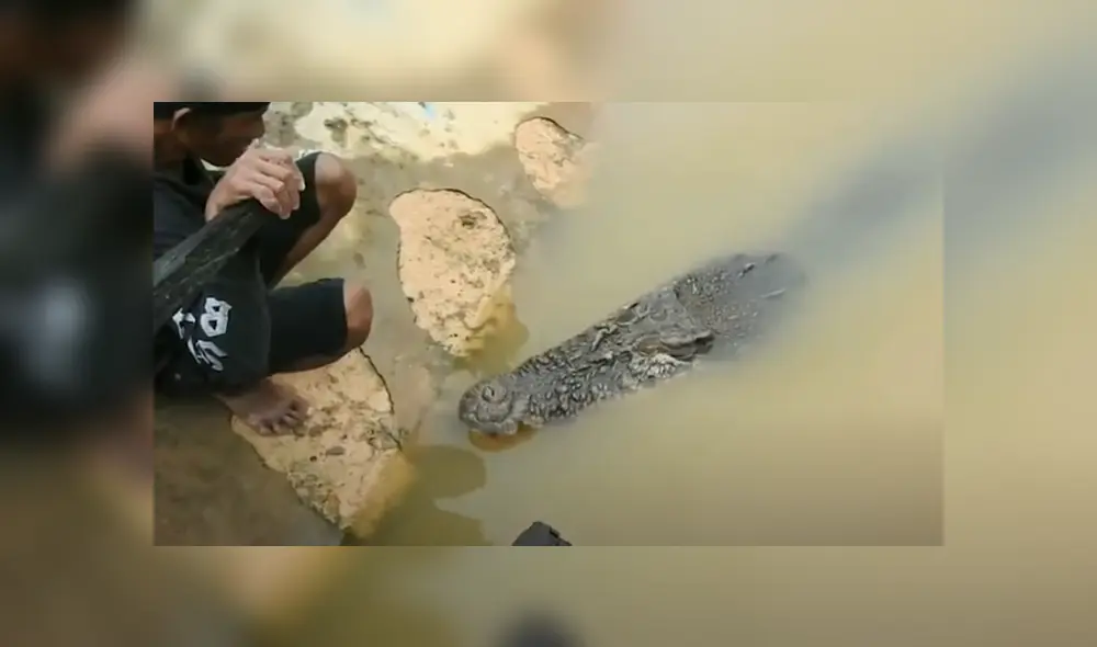 Desliza hacia la izquierda para ver el encuentro de un hombre con un cocodrilo. Viral en Facebook. Foto: ViralPress