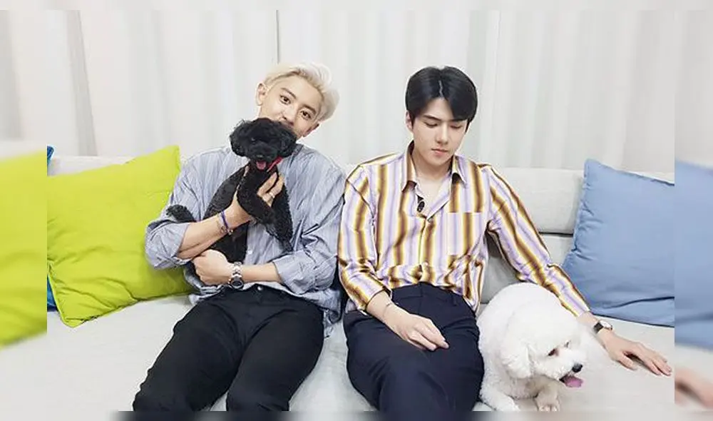 Desliza para ver más fotos de Chanyeol y Sehun