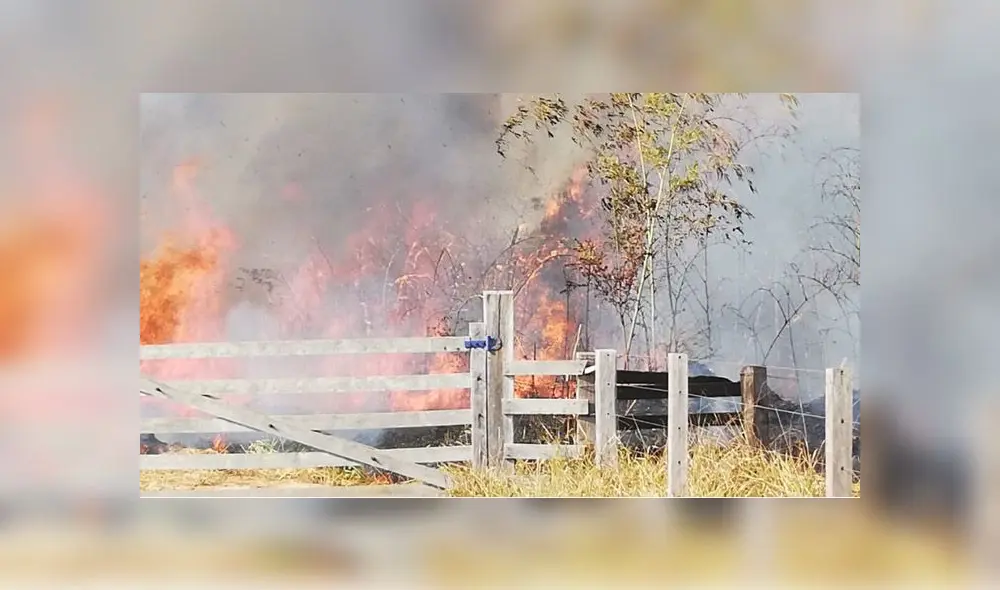 COER atendió este sábado seis incendios forestales en Iñapari, Iberia, Tampopata, Laberinto e Inambari. (Foto: Alcaldía de Iñapari)