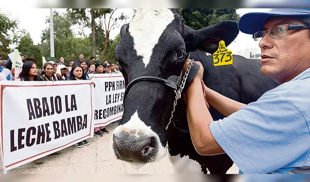 Solo se llamará leche a lo que proceda de leche fresca cruda y no de recombinación