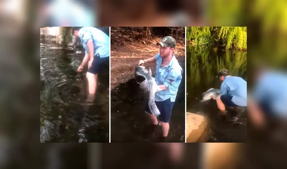 Desliza hacia la izquierda para ver el admirable gesto de un hombre al salvar la vida de un pez. Video de YouTube. Desliza hacia la izquierda para ver el admirable gesto de un hombre al salvar la vida de un pez. Video de YouTube.