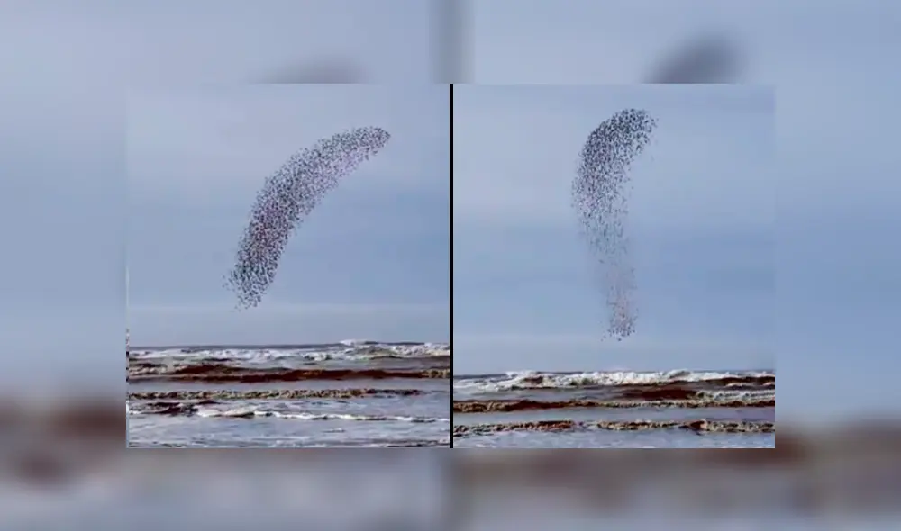 YouTube viral: capta extraña ‘mancha’ que se mueve en el cielo, hace zoom y descubre algo maravilloso [VIDEO]