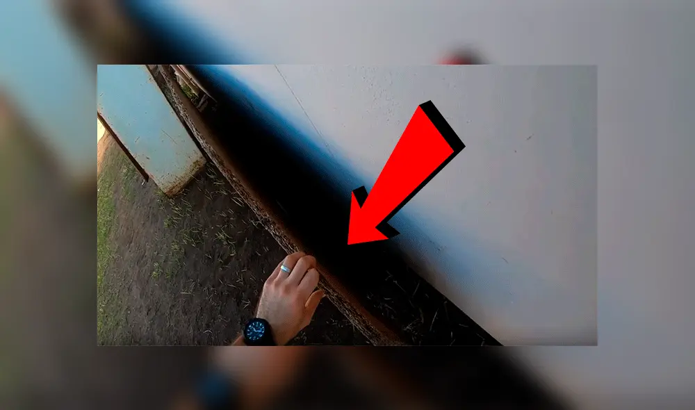 Familia se topa con espeluznante criatura en la puerta de su casa y queda espantada [VIDEO]