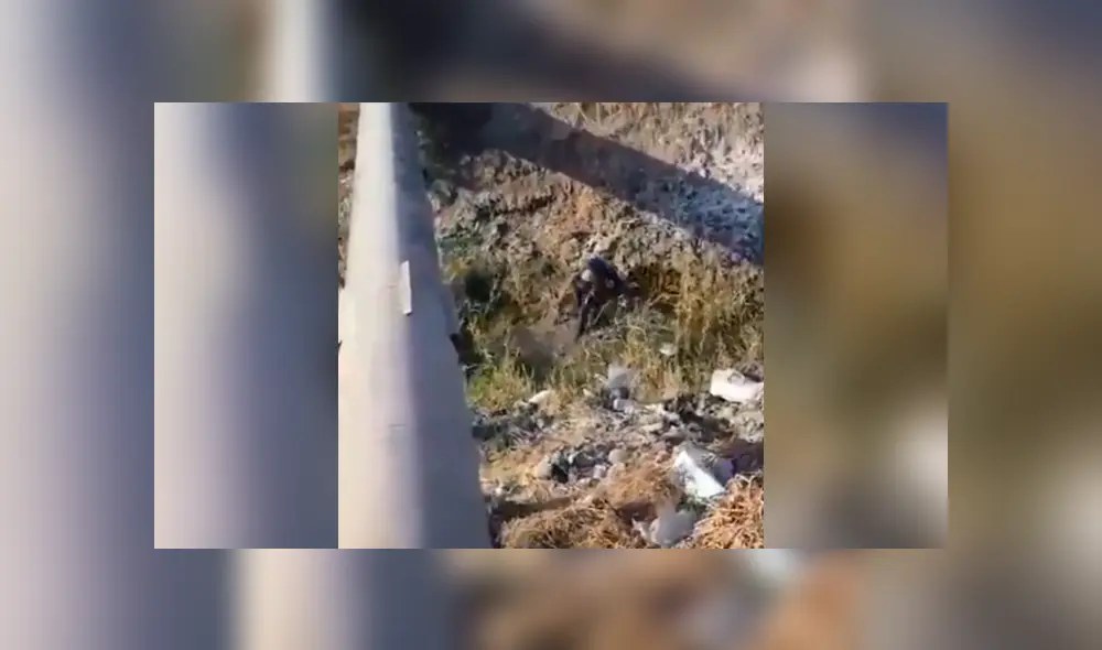 Desliza la imagen compartida en Facebook para verlas todas. Foto: difusión