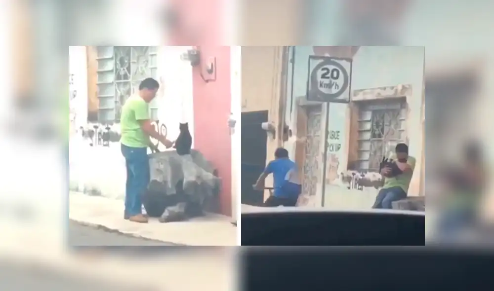 En Facebook, una joven descubrió la tierna escena protagonizada por su padre un gato callejero que adoptó. En Facebook, una joven descubrió la tierna escena protagonizada por su padre un gato callejero que adoptó.