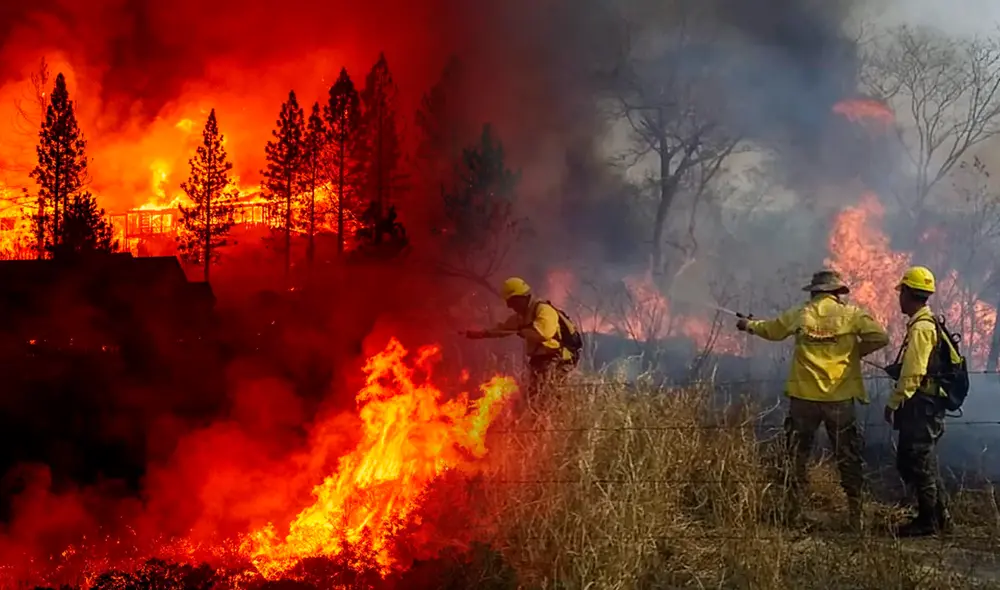 En Bolivia también se registraron otros incendios en Santa Cruz, el motor económico de Bolivia, la sureña Tarija y Chuquisaca. Foto: composición LR/AFP En Bolivia también se registraron otros incendios en Santa Cruz, el motor económico de Bolivia, la sureña Tarija y Chuquisaca. Foto: composición LR/AFP