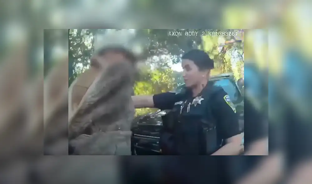 La graciosa reacción de la mujer por la intempestiva aparición del reptil desató más de una carcajada en sus compañeros y se ha hecho viral en YouTube