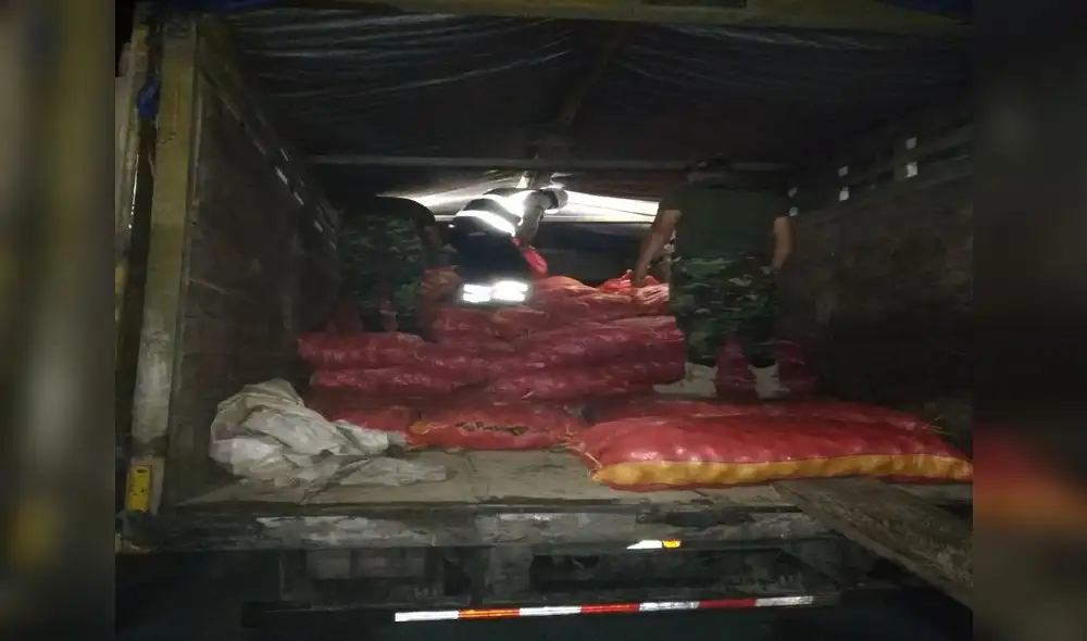 Golpe al narcotráfico: Sunat incauta 4 toneladas y media de insumos químicos