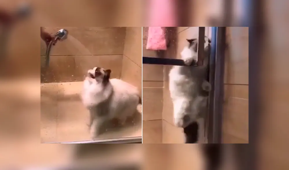 Desliza para ver todas las imágenes de Facebook. Foto: captura