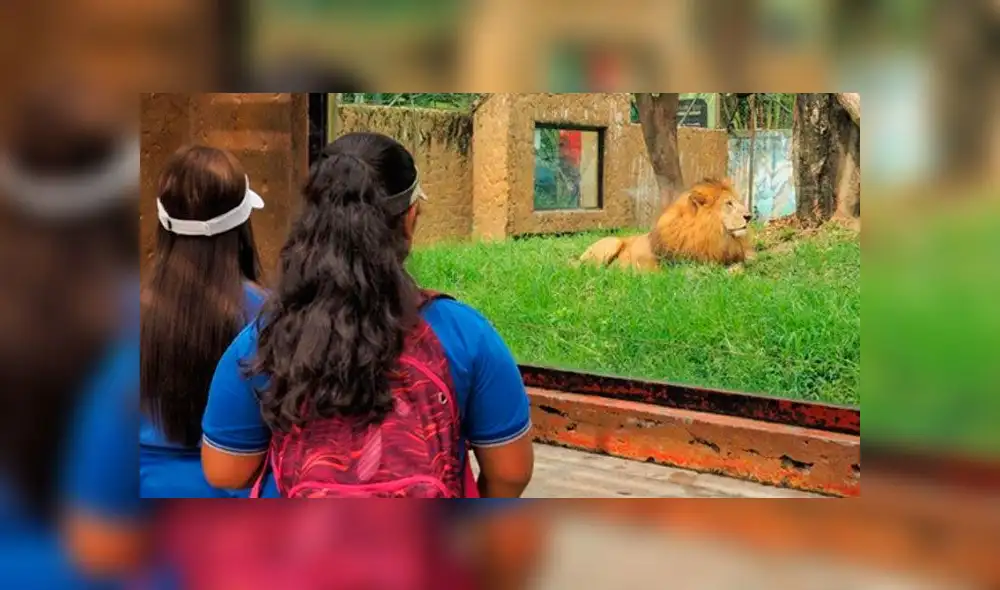 El zoológico se inauguró el 11 de marzo de 1960. (Fuente: Instagram) El zoológico se inauguró el 11 de marzo de 1960. (Fuente: Instagram)