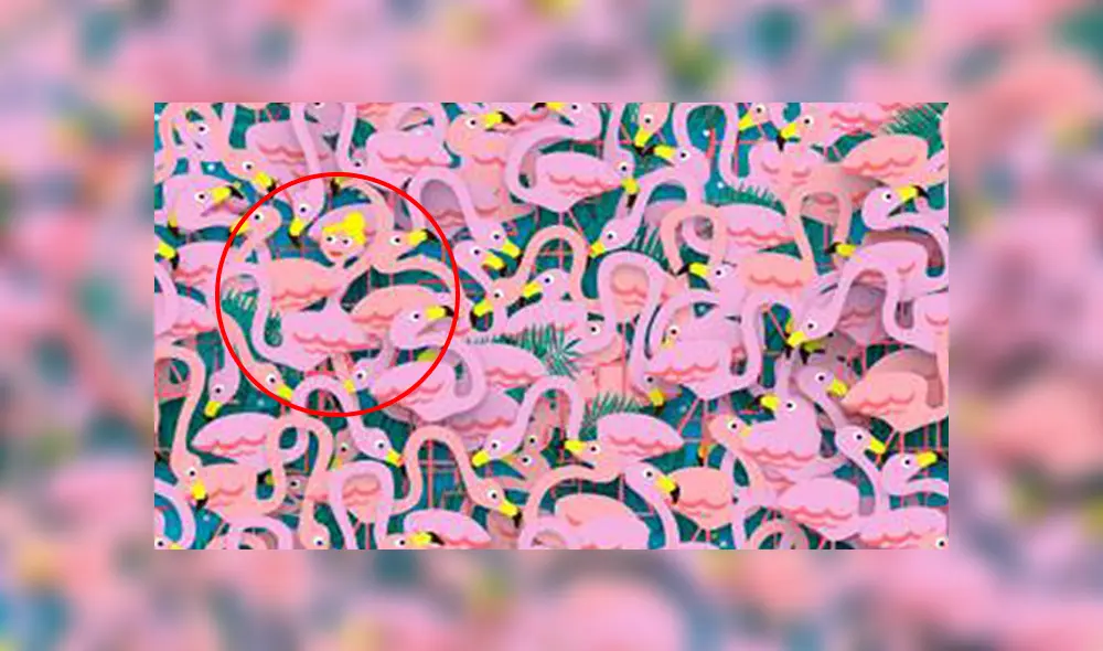 Desliza a la izquierda para conocer más sobre este nuevo reto visual de Facebook. Foto: Captura. Desliza a la izquierda para conocer más sobre este nuevo reto visual de Facebook. Foto: Captura.