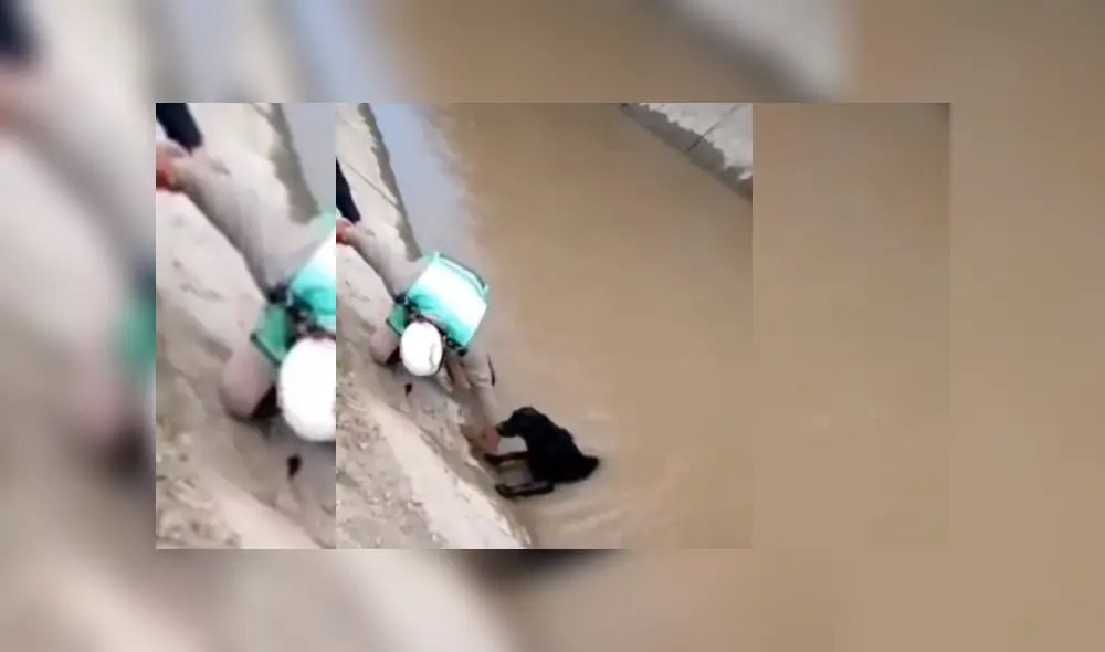 Video es viral en YouTube. Usuario compartió la conmovedora escena que protagonizó un policía de tránsito tras ingresar al canal para rescatar al can.