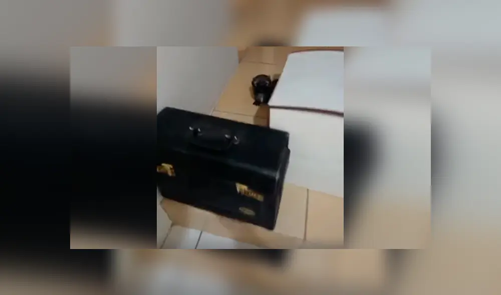 Desliza las imágenes para conocer el conmovedor comportamiento de un perro bebé para evitar que su dueño se vaya de casa.