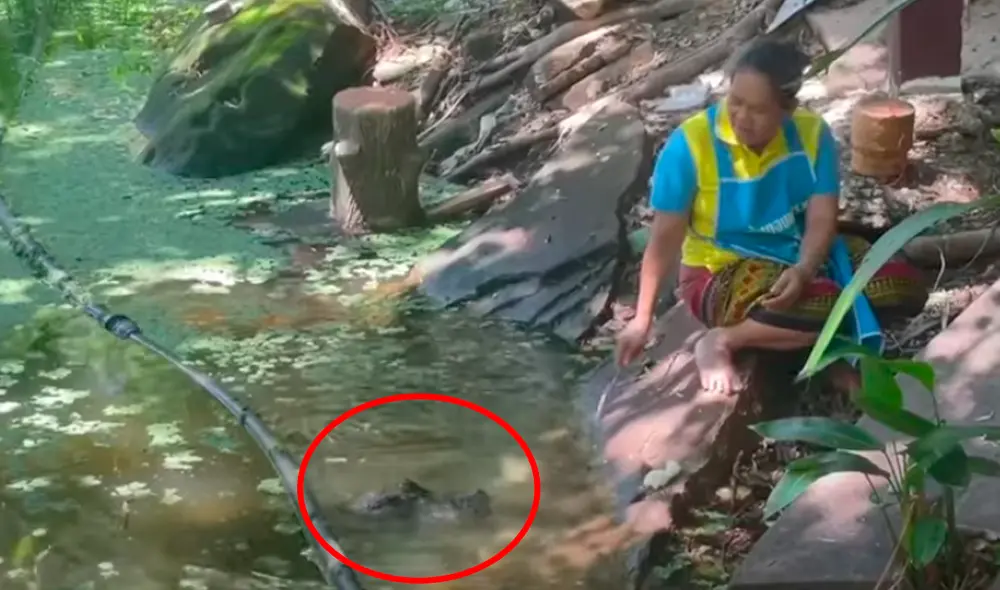 El video viral ha sido compartido en el canal Viral Press. Foto: captura de YouTube El video viral ha sido compartido en el canal Viral Press. Foto: captura de YouTube