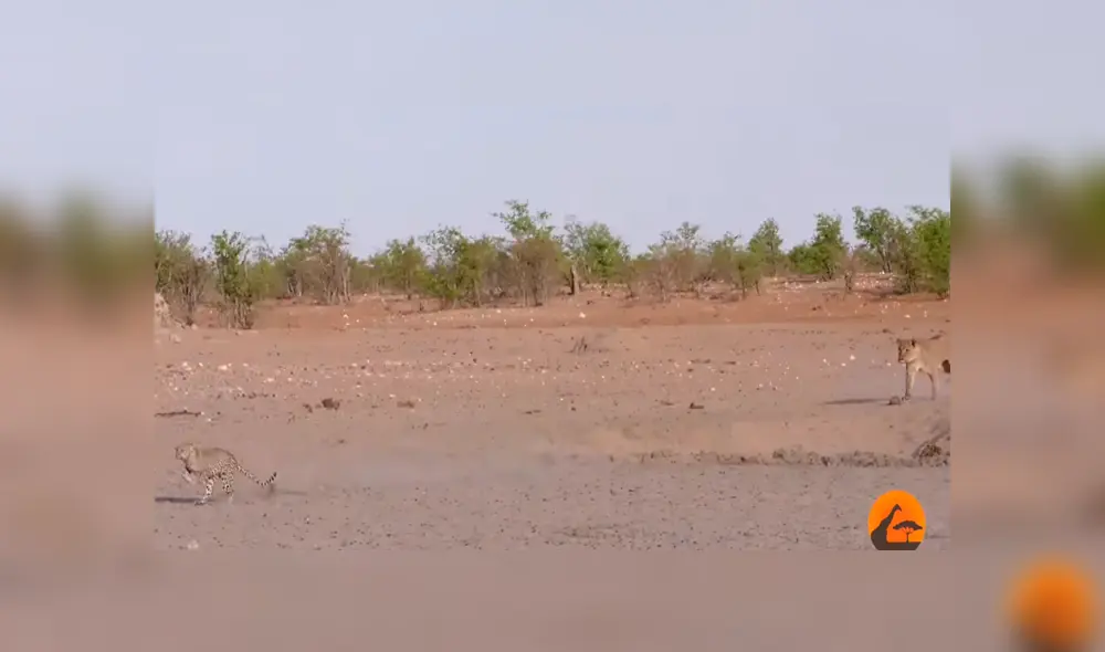 Desliza para ver los momentos más impactantes del video que se hizo viral en YouTube.