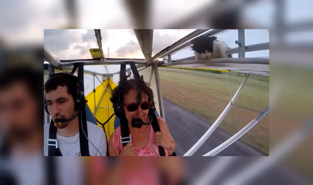 Desliza para ver el desenlace de este video viral de Facebook. Foto: Captura.