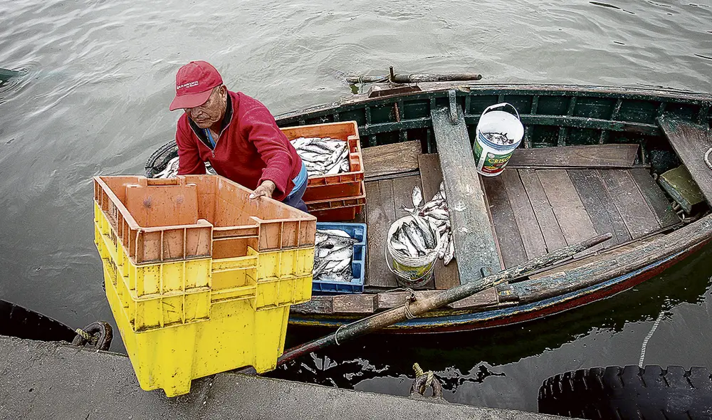 Deuda social. Pesca artesanal continuará desprotegida en tanto no se corrijan las distorsiones del sector pesquero.
