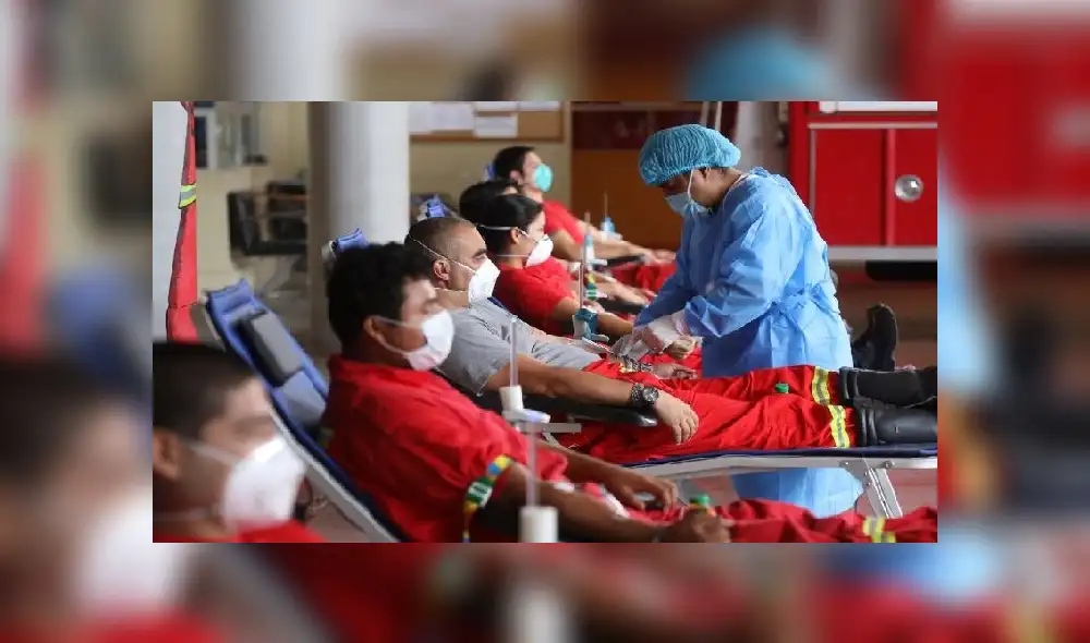 Donación de sangre. Foto: EsSalud