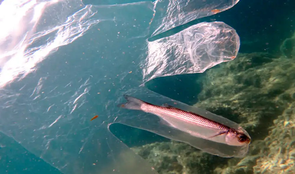 guantes coronavirus contaminacion ambiental guantes coronavirus contaminacion ambiental