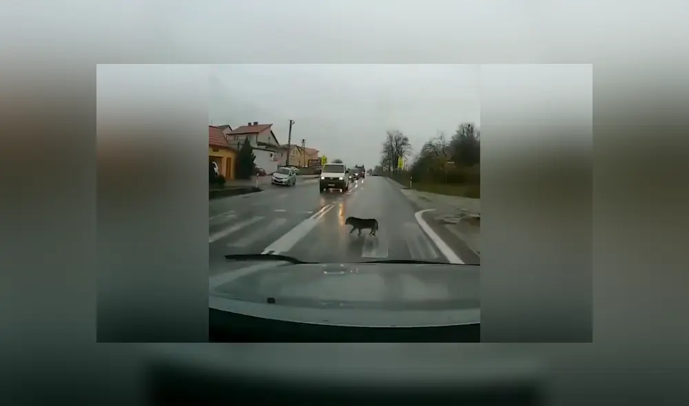 Desliza para ver los momentos más importantes del video que se hizo viral en YouTube. Desliza para ver los momentos más importantes del video que se hizo viral en YouTube.