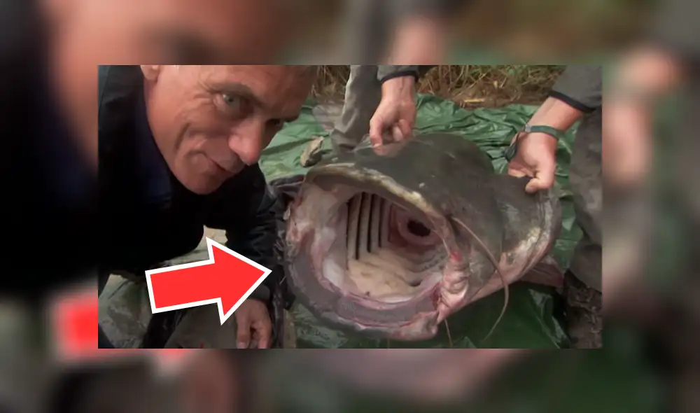 YouTube viral: investigadores encuentran a misteriosa criatura que causa terror en usuarios [VIDEO]