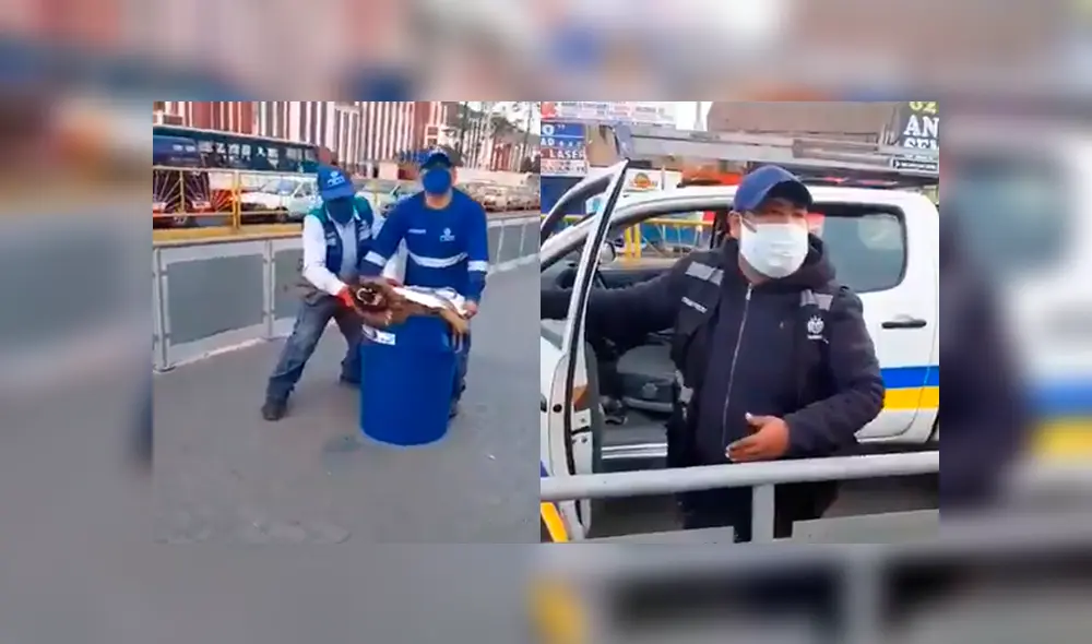 Denuncian maltrato animal por parte de miembros del serenazgo de la Municipalidad de Lima. Foto: Facebook Denuncian maltrato animal por parte de miembros del serenazgo de la Municipalidad de Lima. Foto: Facebook
