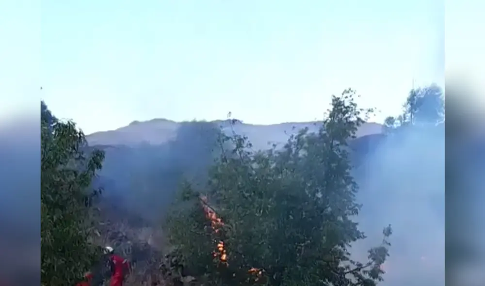 Cusco: Incendio forestal pone en peligro a parque arqueológico de Raqchi.