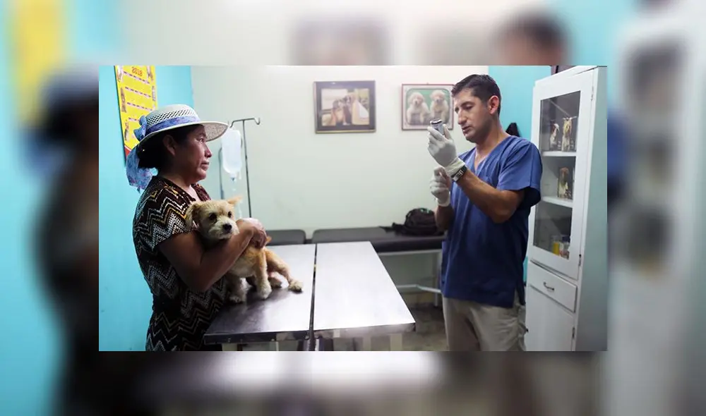 Brindan atención gratuita a mascotas de lunes a viernes [FOTOS]