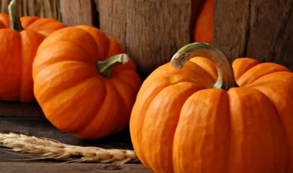 La calabaza surgió como un símbolo para Halloween en la celebración en EE.UU. Foto: El Popular