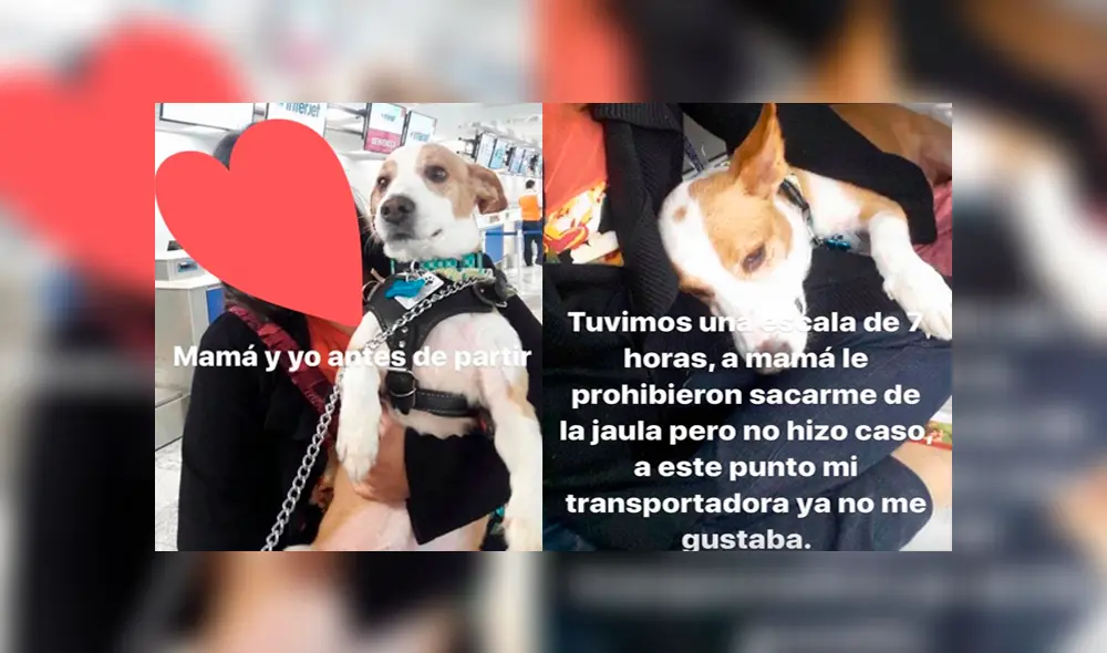 Desliza para ver los detalles de esta historia que conmovió a todos en Facebook. Foto: Captura. Desliza para ver los detalles de esta historia que conmovió a todos en Facebook. Foto: Captura.