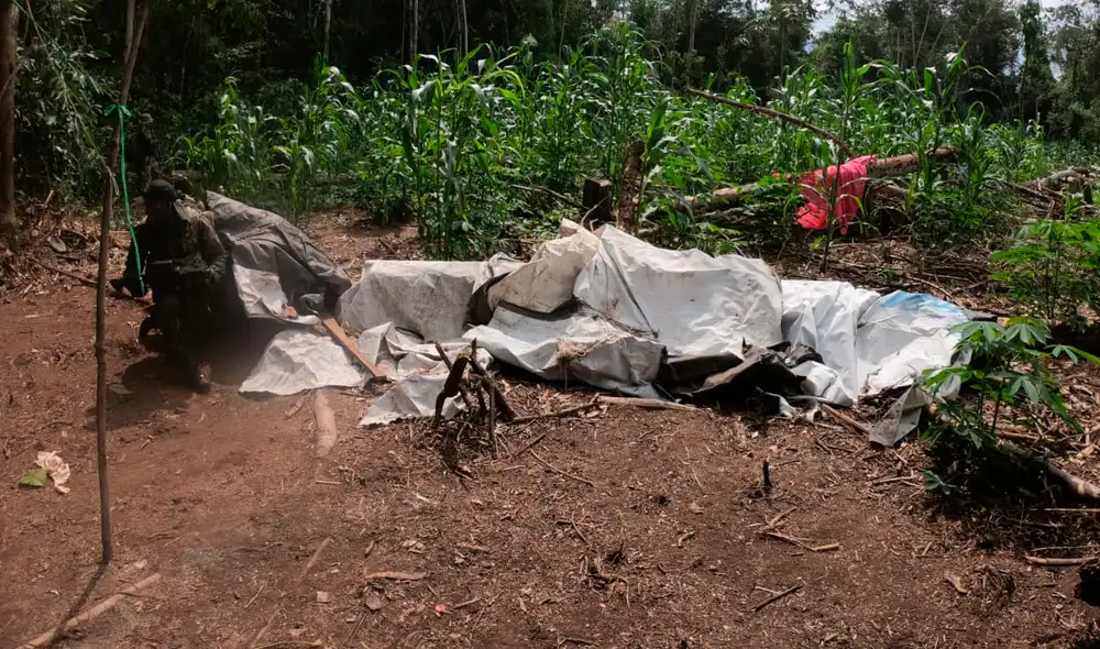 Se halló 420 kilos de drogas. Foto: Ministerio de Defensa