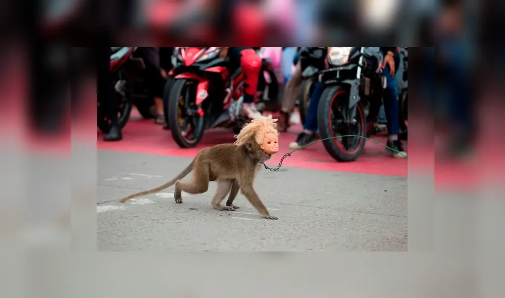 Venta de monos en Indonesia