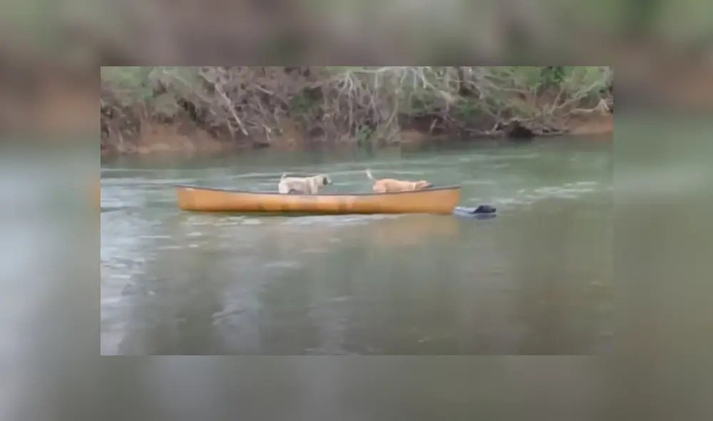 Desliza hacia la izquierda para ver más del video viral Desliza hacia la izquierda para ver más del video viral