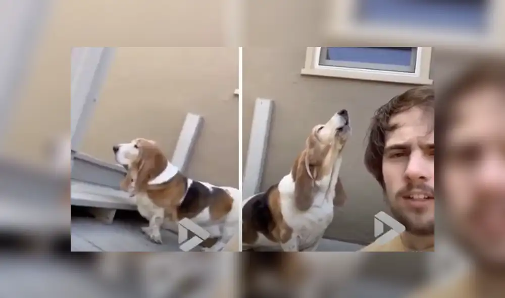 Desliza hacia la izquierda para ver las imágenes del viral de YouTube. Foto: ViralVideoUK. Desliza hacia la izquierda para ver las imágenes del viral de YouTube. Foto: ViralVideoUK.