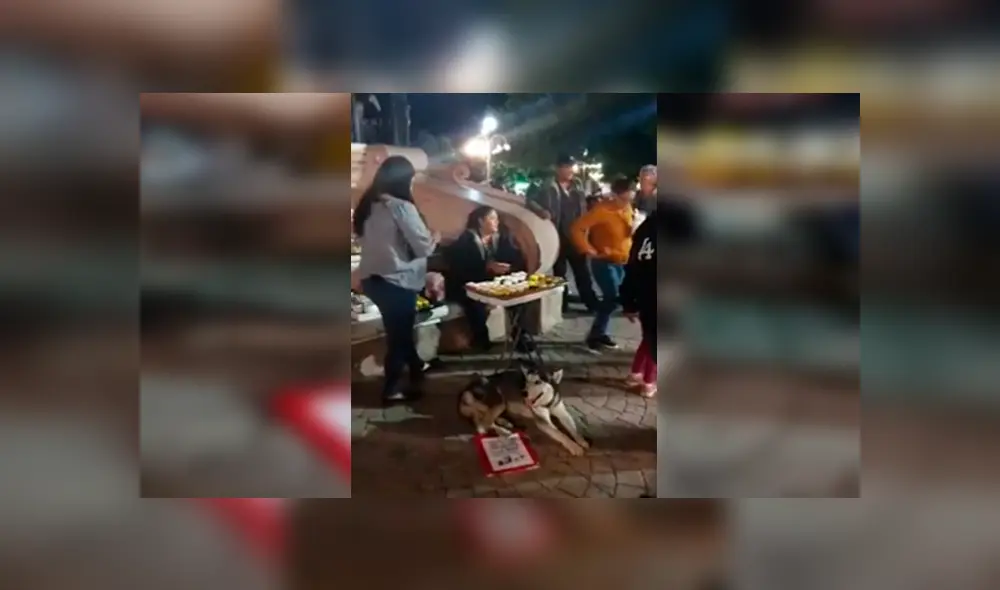 En Facebook, una joven decidió vender varios productos para ayudar a su mascota que tiene bolas en el cuerpo. En Facebook, una joven decidió vender varios productos para ayudar a su mascota que tiene bolas en el cuerpo.