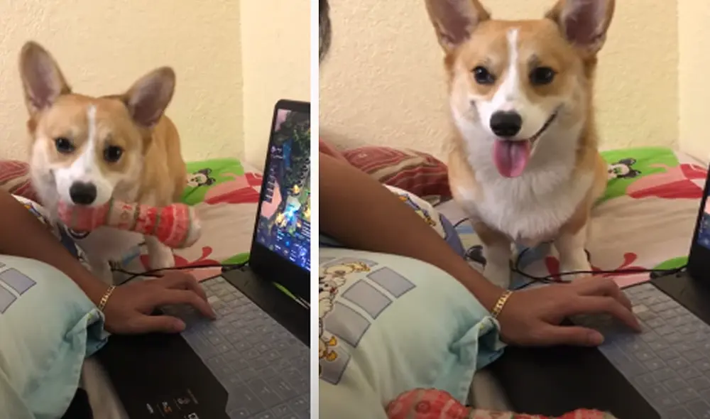 Desliza hacia la izquierda para ver las imágenes del video viral. Foto: Captura de Facebook. Desliza hacia la izquierda para ver las imágenes del video viral. Foto: Captura de Facebook.