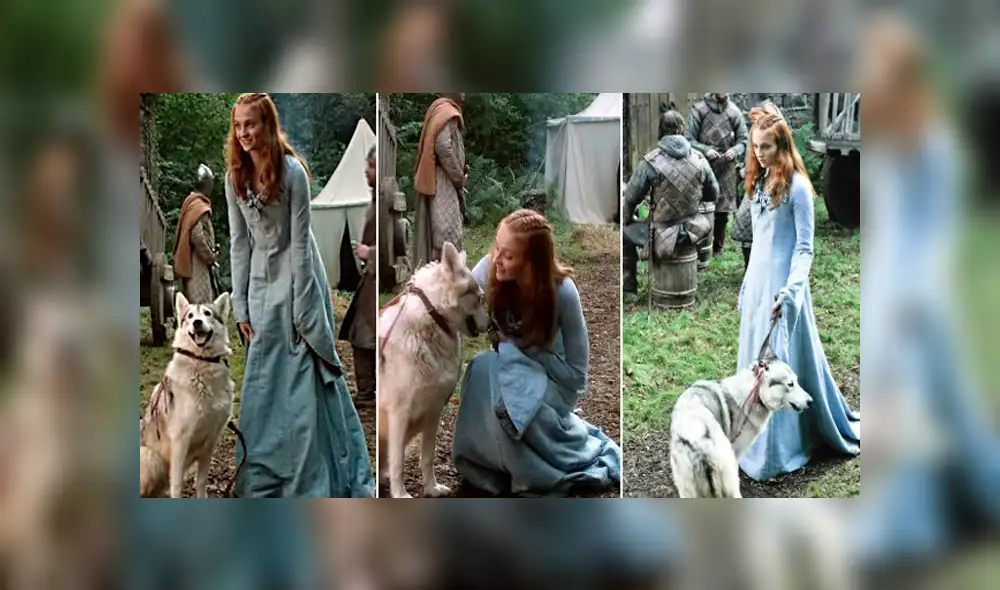 Game of Thrones: “Sansa Stark” revela que pasó con “Dama” en la vida real [FOTOS]