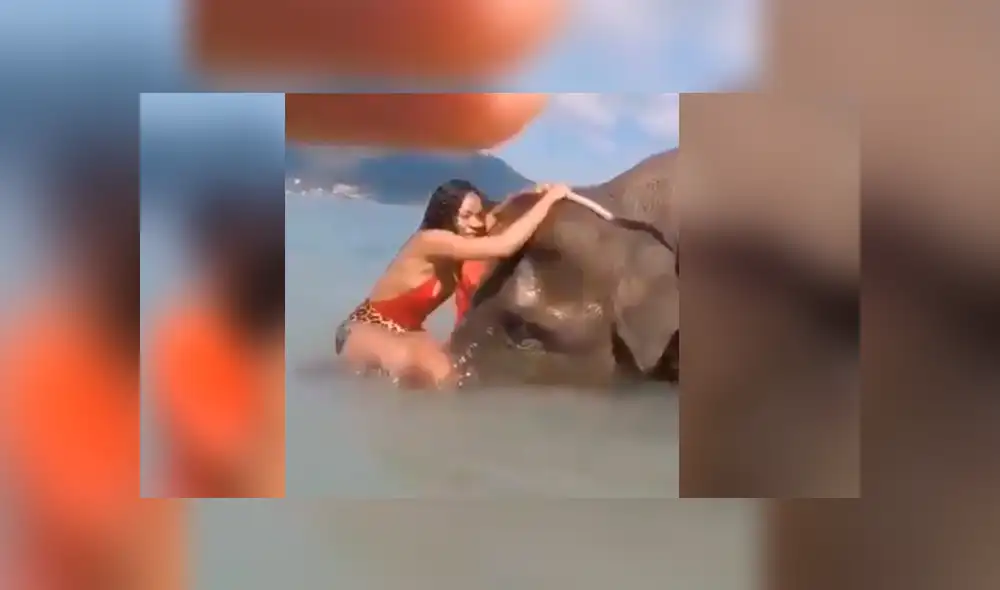 Facebook viral: Intenta tomarse foto sobre la trompa de un elefante y este la deja en ridículo [VIDEO]
