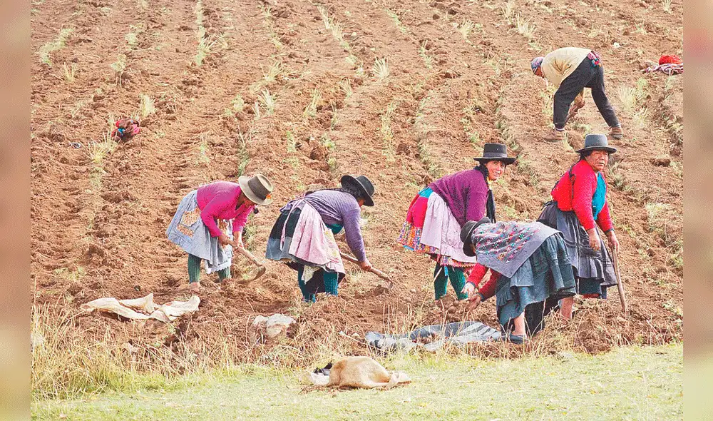 Agricultores Agricultores