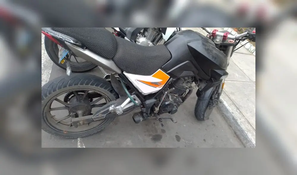 Lince robo panadería Lince robo panadería