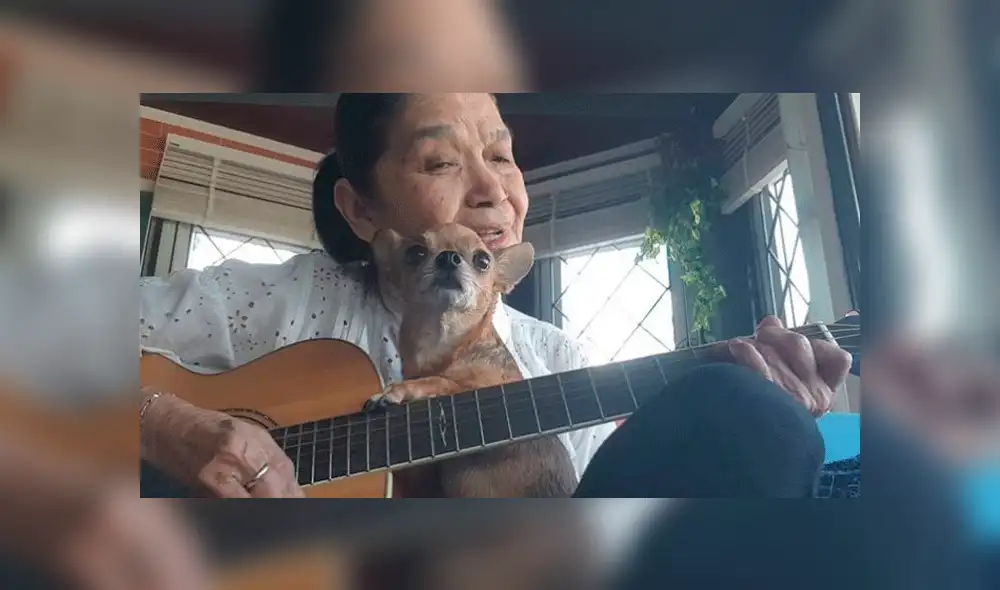 The Beatles chihuahueño